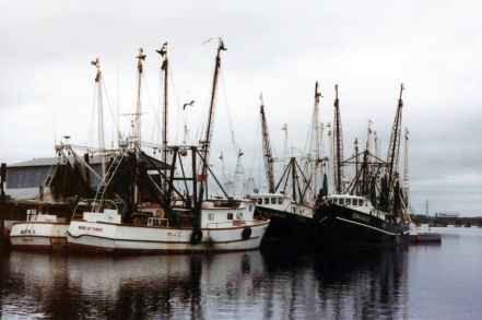boats fishing boat harbor harbour