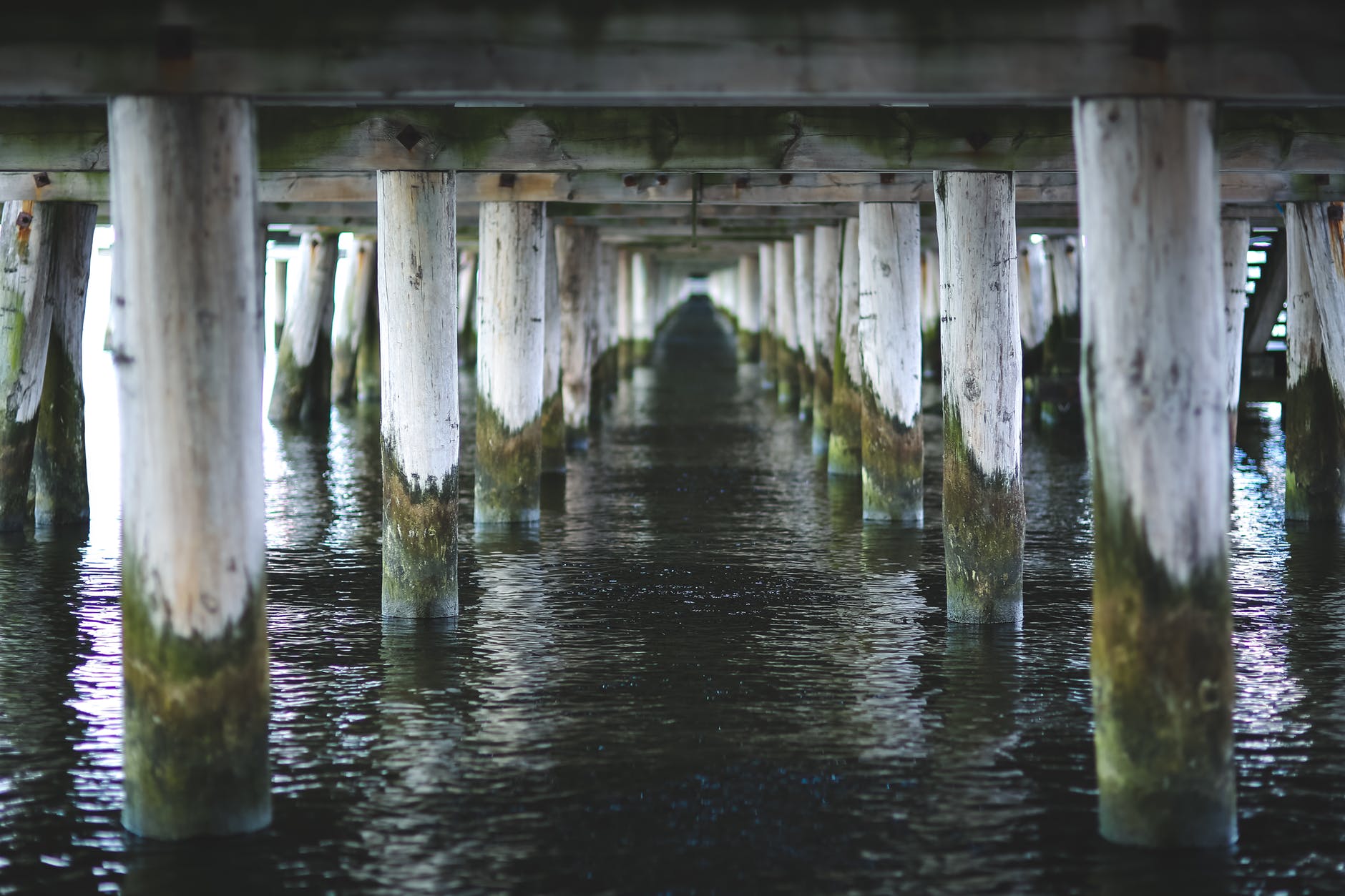 view under pier in sopot