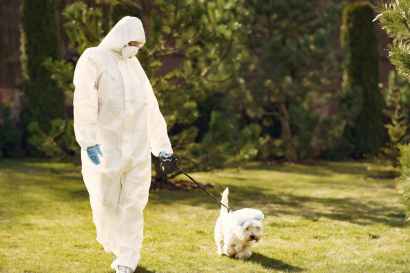 unrecognizable person in protective clothes walking little dog during coronavirus